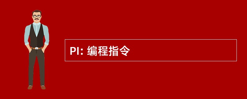 PI: 编程指令