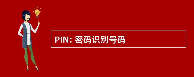 PIN: 密码识别号码