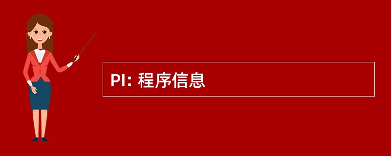 PI: 程序信息