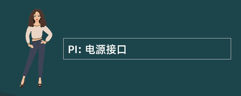 PI: 电源接口