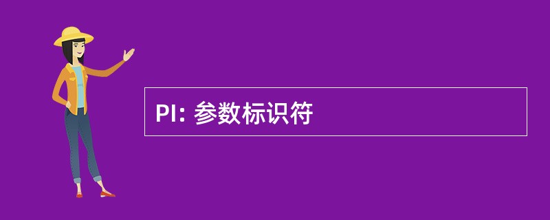 PI: 参数标识符