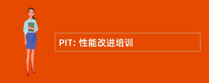 PIT: 性能改进培训