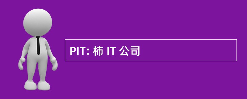 PIT: 柿 IT 公司