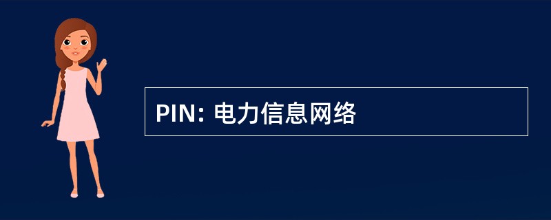 PIN: 电力信息网络