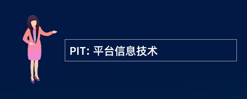 PIT: 平台信息技术