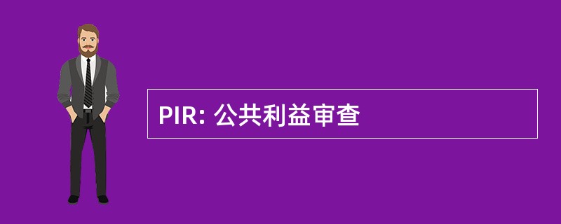 PIR: 公共利益审查