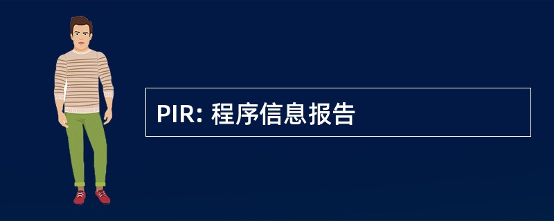 PIR: 程序信息报告