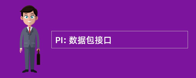 PI: 数据包接口