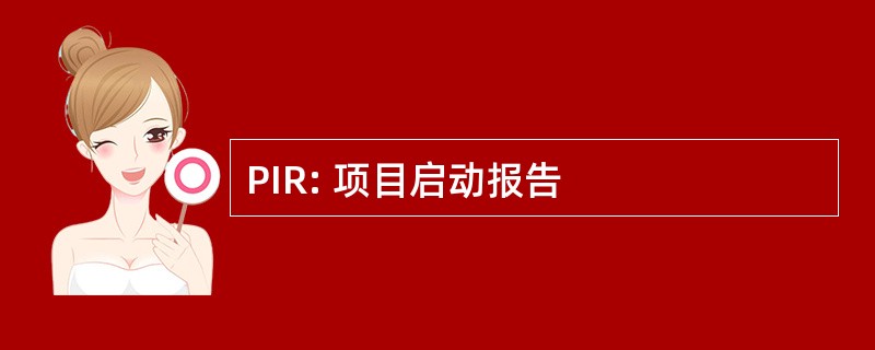 PIR: 项目启动报告