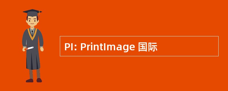 PI: PrintImage 国际