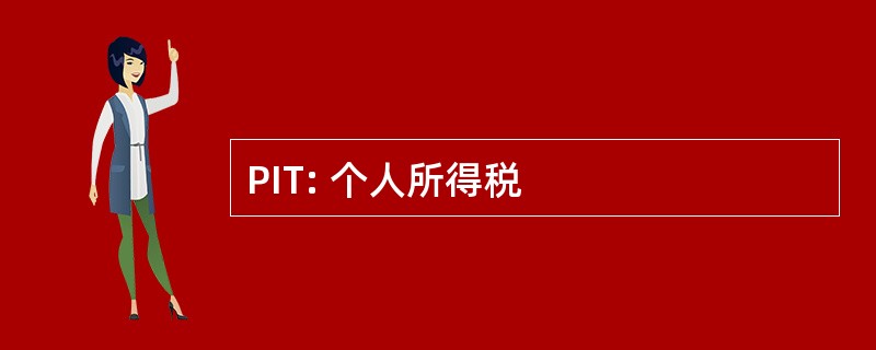 PIT: 个人所得税