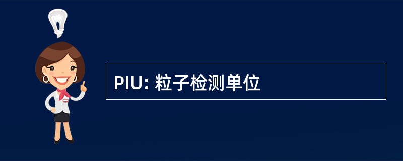 PIU: 粒子检测单位