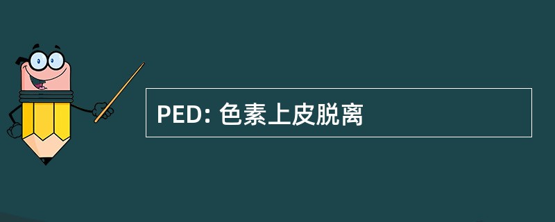 PED: 色素上皮脱离