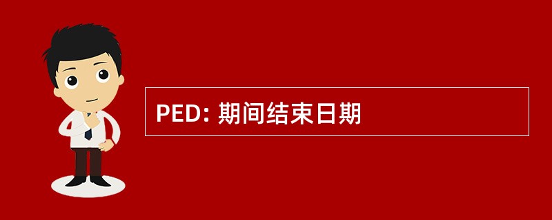 PED: 期间结束日期