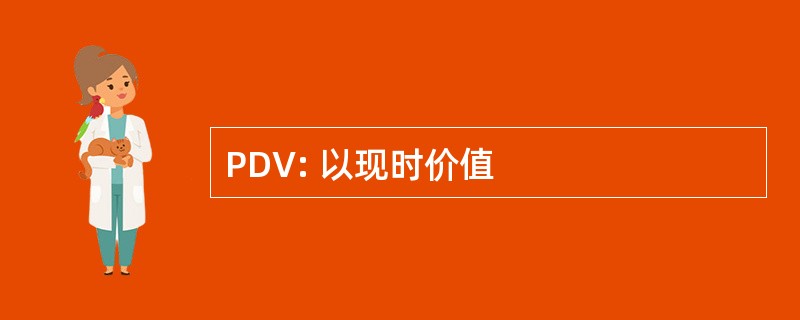 PDV: 以现时价值