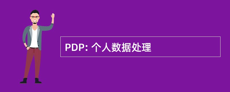 PDP: 个人数据处理