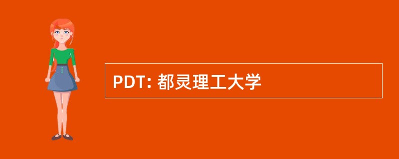 PDT: 都灵理工大学