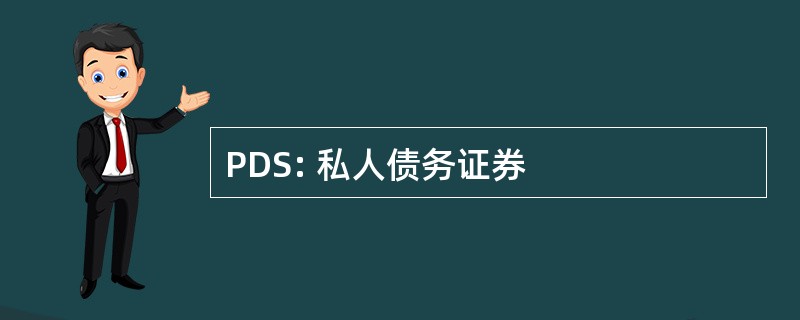 PDS: 私人债务证券