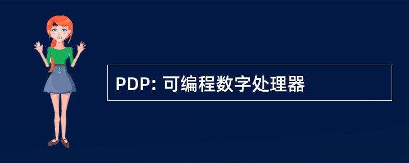 PDP: 可编程数字处理器