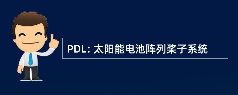 PDL: 太阳能电池阵列桨子系统