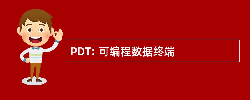 PDT: 可编程数据终端