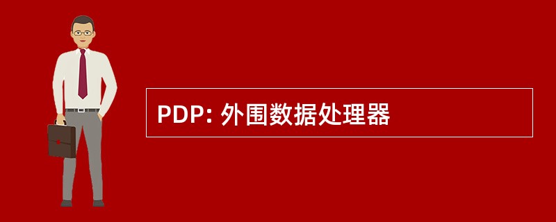 PDP: 外围数据处理器