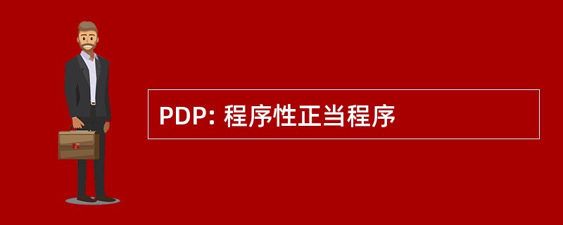 PDP: 程序性正当程序