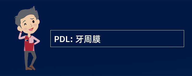 PDL: 牙周膜