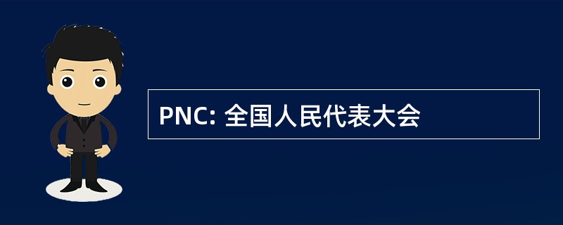 PNC: 全国人民代表大会