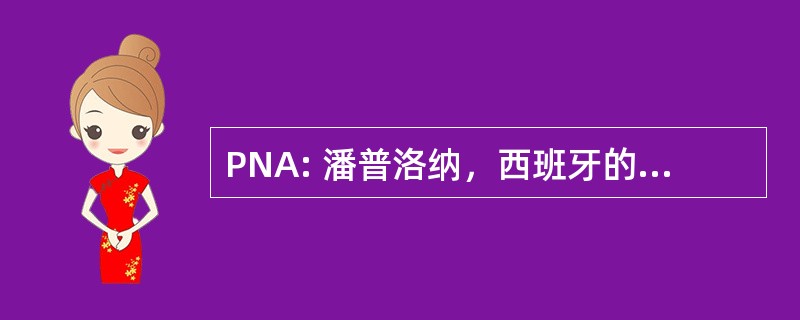 PNA: 潘普洛纳，西班牙的潘普洛纳-Noain