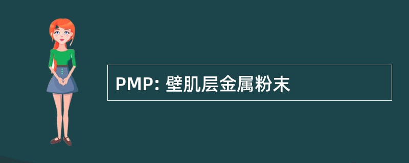 PMP: 壁肌层金属粉末