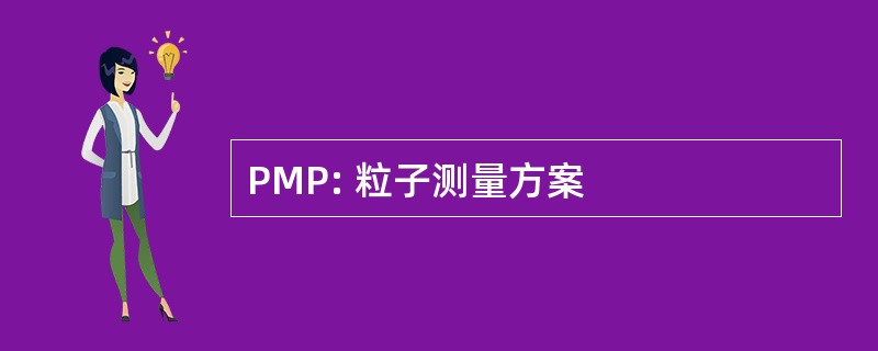 PMP: 粒子测量方案