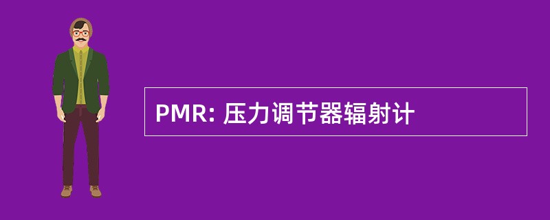 PMR: 压力调节器辐射计