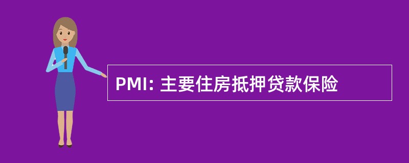 PMI: 主要住房抵押贷款保险