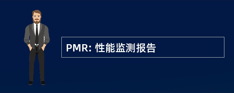 PMR: 性能监测报告