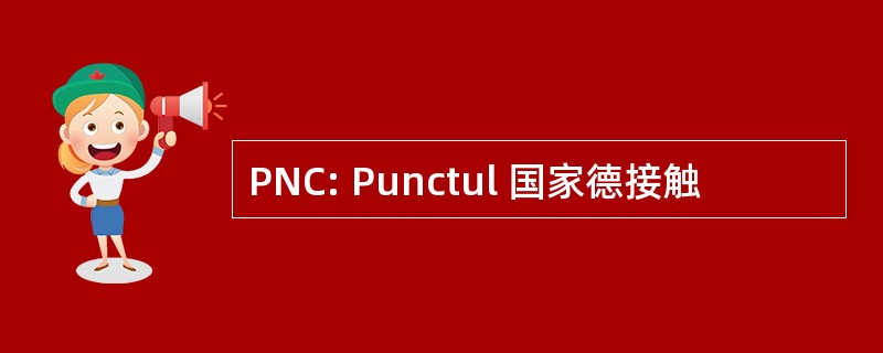 PNC: Punctul 国家德接触