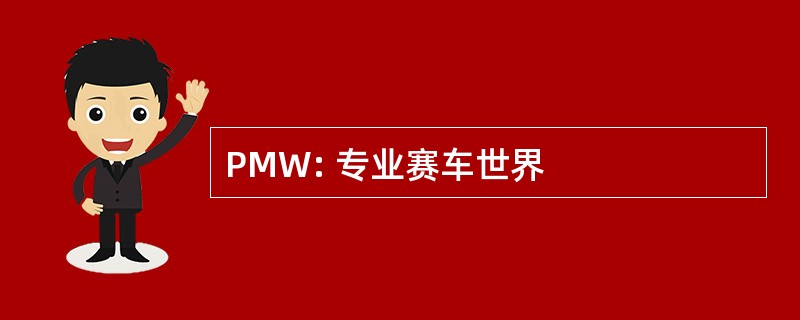 PMW: 专业赛车世界