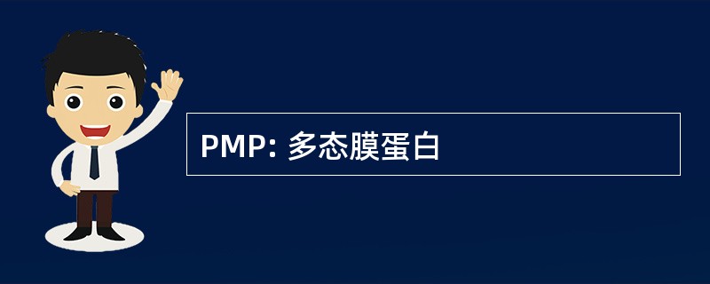 PMP: 多态膜蛋白