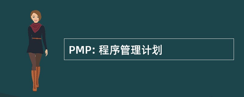 PMP: 程序管理计划