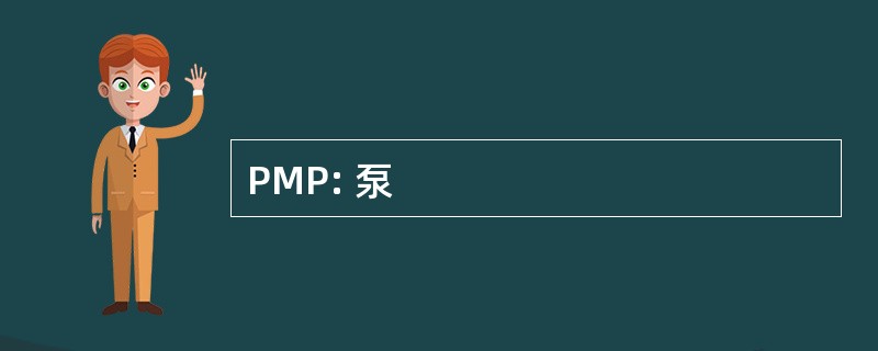 PMP: 泵