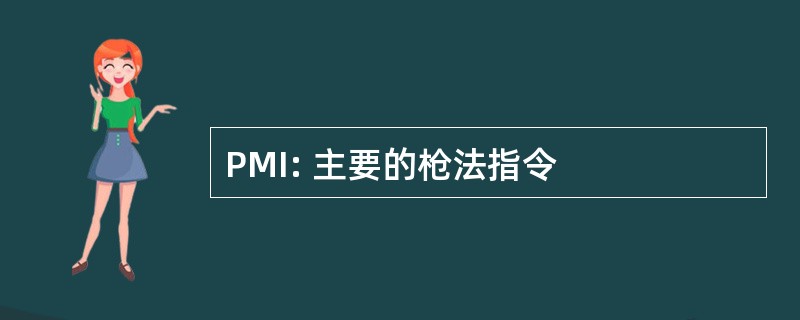 PMI: 主要的枪法指令