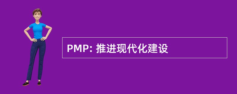 PMP: 推进现代化建设