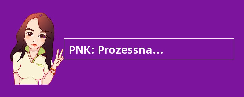 PNK: Prozessnahe Komponente