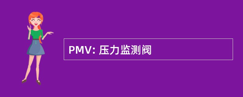 PMV: 压力监测阀