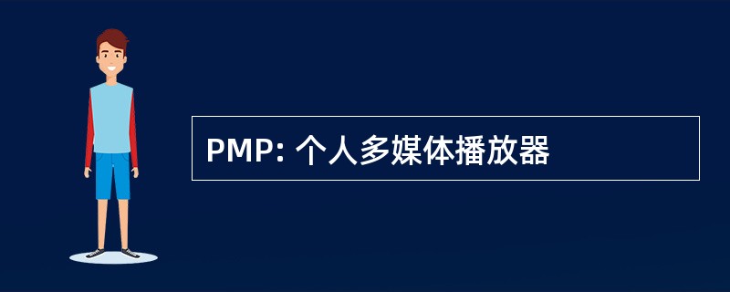 PMP: 个人多媒体播放器