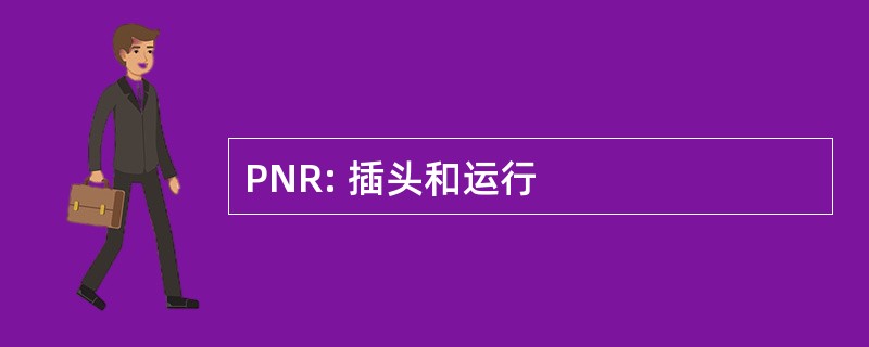 PNR: 插头和运行