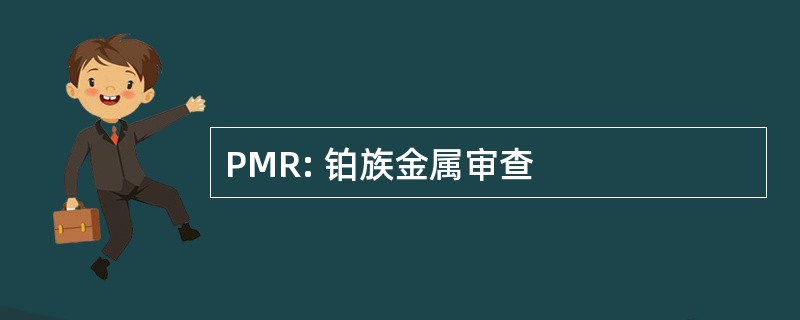 PMR: 铂族金属审查