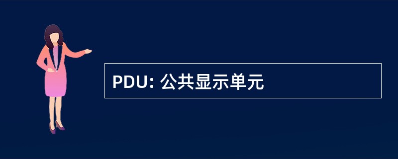 PDU: 公共显示单元