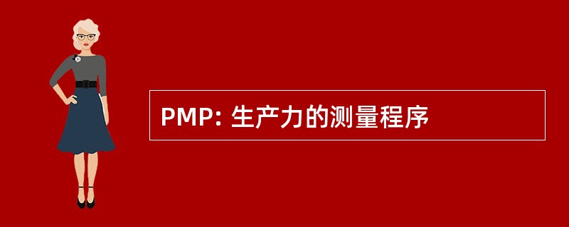 PMP: 生产力的测量程序