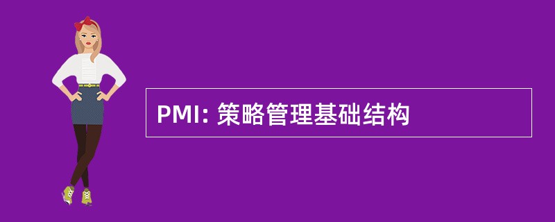 PMI: 策略管理基础结构